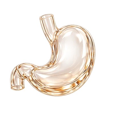 Гастроэнтерология