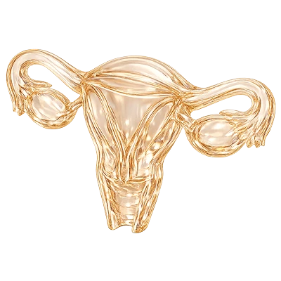 Гинекология