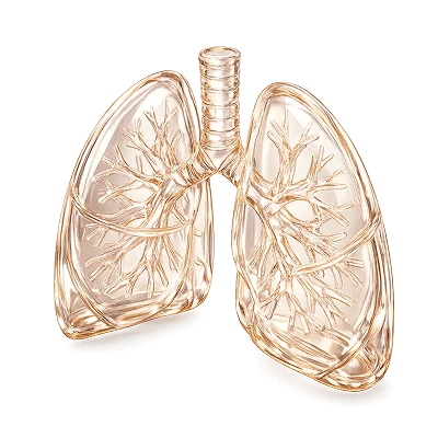 Пульмонология